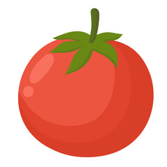 Tomato Vegetable Illustration