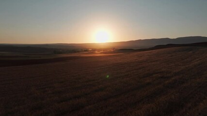 Drone shot of sunset over corn dusty field in aragon spain