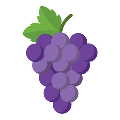 Grapes vector illustration on white background 
