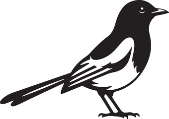 magpie silhouette vector art illustration