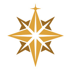 Obraz premium Star-of-Bethlehem-vector-icon-on-white background.