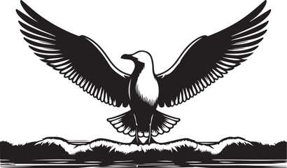 Seagull silhouette. Isolated seagull on white background. Bird