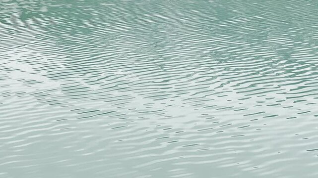 The waves formed by the wind on the lake waters combine with light and create phosphorescence