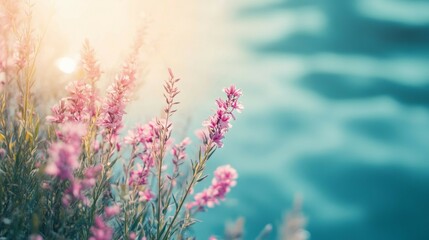 Obraz premium Pink Flower Blossom Near Water with Soft Sunset Light Background