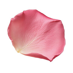 You've reached our limit of messages per hour Please try again later