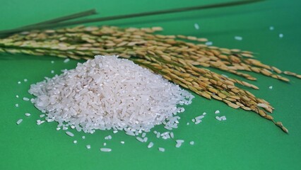 View of rice and paddy on a green background