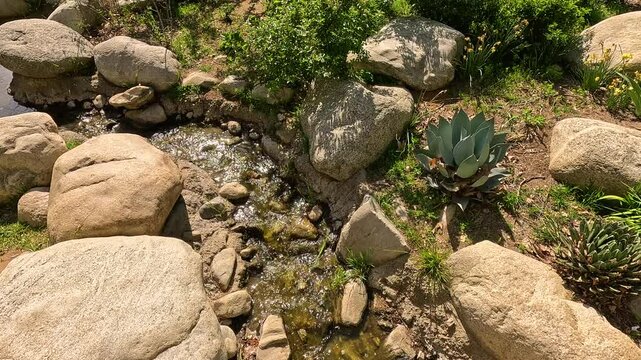 footage of a gorgeous spring landscape with colorful flowers and lush green trees and plants at Descanso Gardens La Canada Flintridge California USA