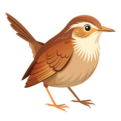 unique Bush warbler bird isolated on white background