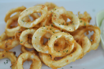 calamari or fried squid , crispy squid