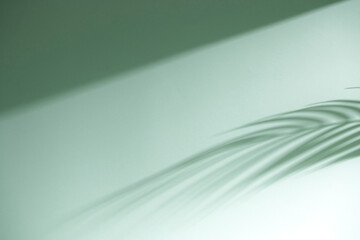 Morning Light and Natural Shadows in a Minimal Living Space.