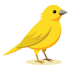 unique Canary bird isolated on white background