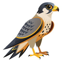 unique Falcon bird isolated on white background