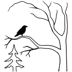 Crow Birds Line Art Drawing for Kids – Simple Outline Vector Illustration for Educational Design