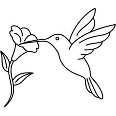 Birds Line Art Drawing for Kids – Simple Outline Vector Illustration for Educational Design