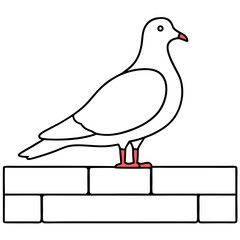 Pigeon Birds Line Art Drawing for Kids – Simple Outline Vector Illustration for Educational Design