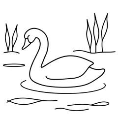 Swan Birds Line Art Drawing for Kids – Simple Outline Vector Illustration for Educational Design