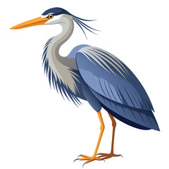 unique Heron bird isolated on white background