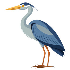 unique Heron bird isolated on white background