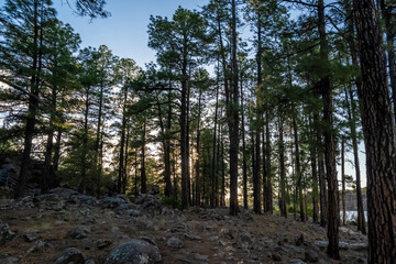 An overlooking view in Fool Hollow Lake Recreation Area, Arizona