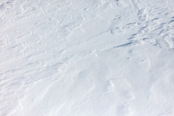 Obraz premium The snow is white and the ground is covered in it