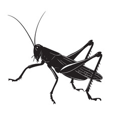 A Grasshopper vector silhouette 