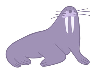 Vector isolated illustration of a walrus on a white background.