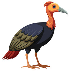 unique Megapode bird isolated on white background