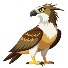 unique Ospreys bird isolated on white background