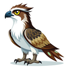 unique Ospreys bird isolated on white background