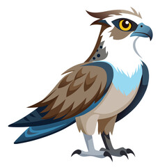 unique Ospreys bird isolated on white background