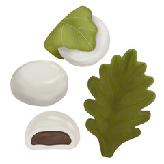 つるつるもちもちで美味しそうな柏餅のイラストセット、端午の節句、こどもの日