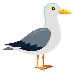 unique Seagull bird isolated on white background