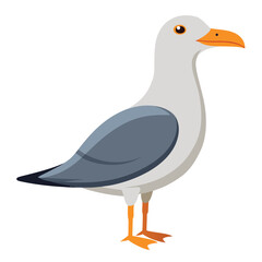 unique Seagull bird isolated on white background