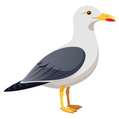 unique Seagull bird isolated on white background