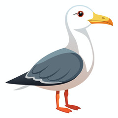 unique Seagull bird isolated on white background