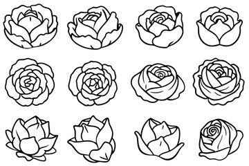 Cabbage line art creative sketch for food lovers