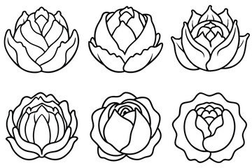 Cabbage line art perfect design for kitchen decor