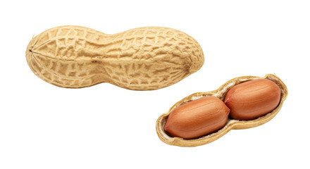 Isolated Peanut