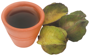 Ayurvedic arjun fruit with extract