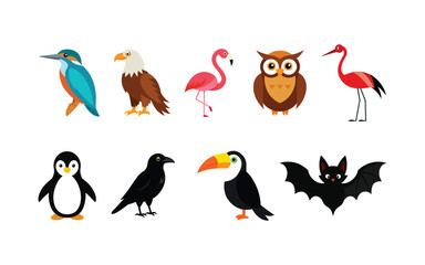 Colorful birds illustration set on white background. flat design - isolated - vector. 