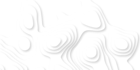 Abstract Luxury diamond creative background vector natural shadow papercut web topography map spiral line. white light dynamic smooth 3d papercut texture background.