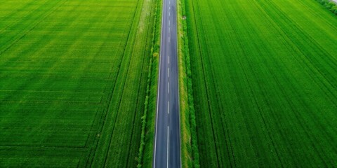 A Serene Aerial View of a Country Road Cutting Through Lush Green Fields