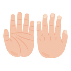 Obraz premium 手の平と手の甲のイラスト