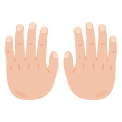 両手の甲のイラスト