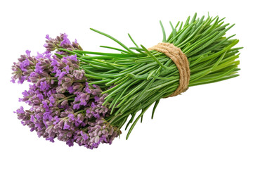 Beautiful lavender bundle tied with twine for use in crafting or decoration