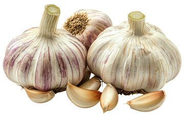 Obraz premium Fresh garlic bulbs with cloves ready for cooking and seasoning in the kitchen