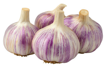 Freshly harvested garlic bulbs showcasing purple and white stripes in a natural setting