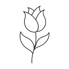 Floral vector rose illustration, spring plant design