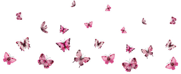 Colorful flying butterflies PNG transparent illustration