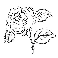 Cute cartoon hand drawn vector beautiful rose flower coloring page.
